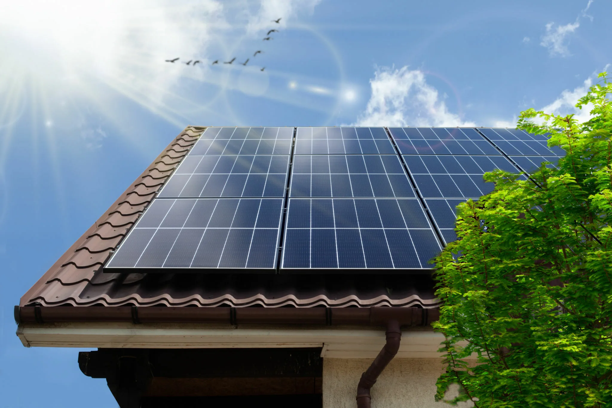 Revolutionising Sustainability: The Ultimate Guide to Replacing Solar Panels