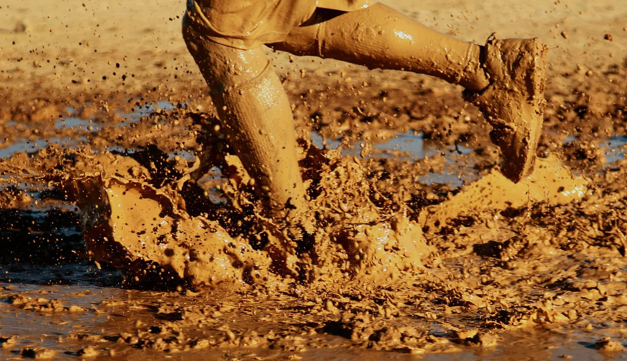 Mud, sweat and tears for Cheltenham runners