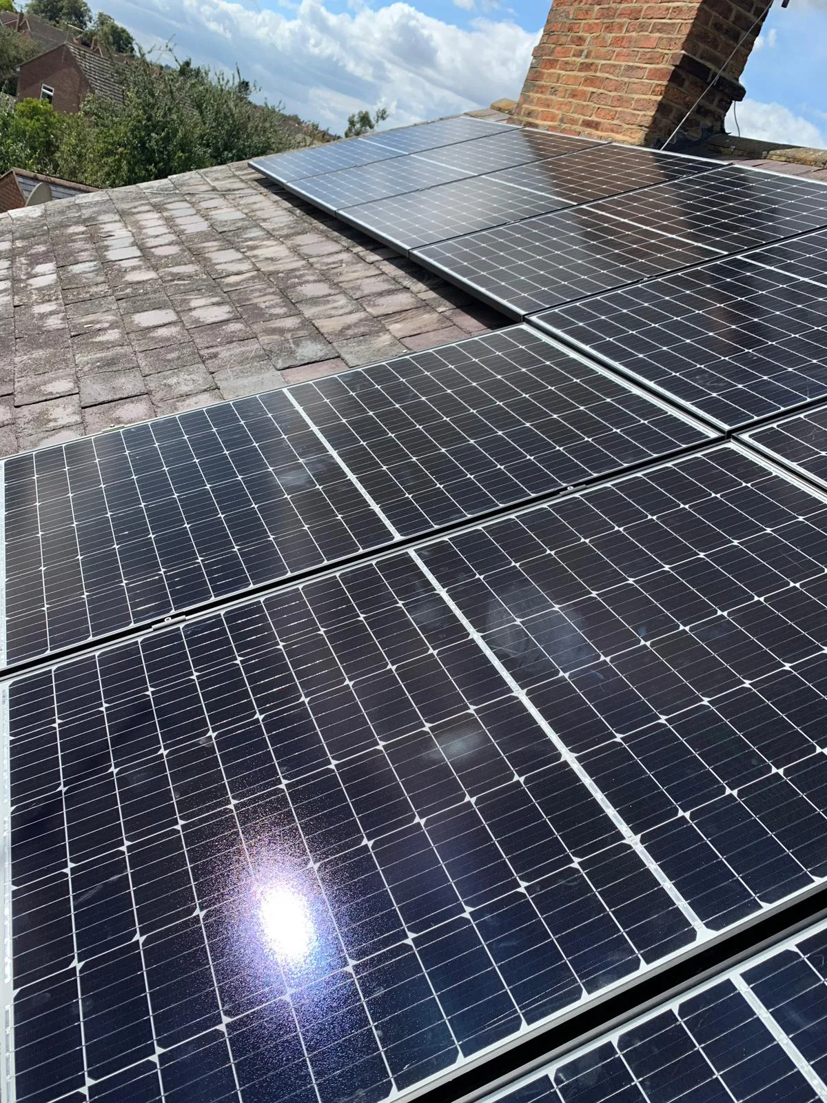 Solar Panel Popularity is Thriving, Should You Buy One?
