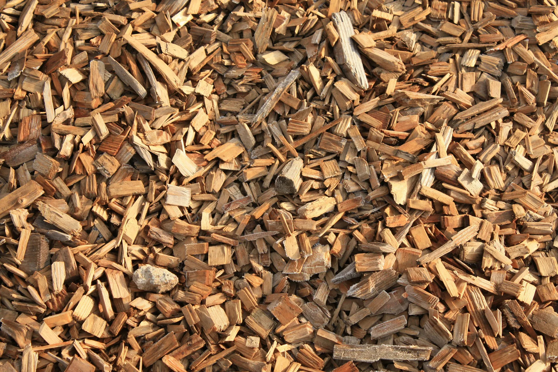 6 Things You Need to Know about Biomass Heating