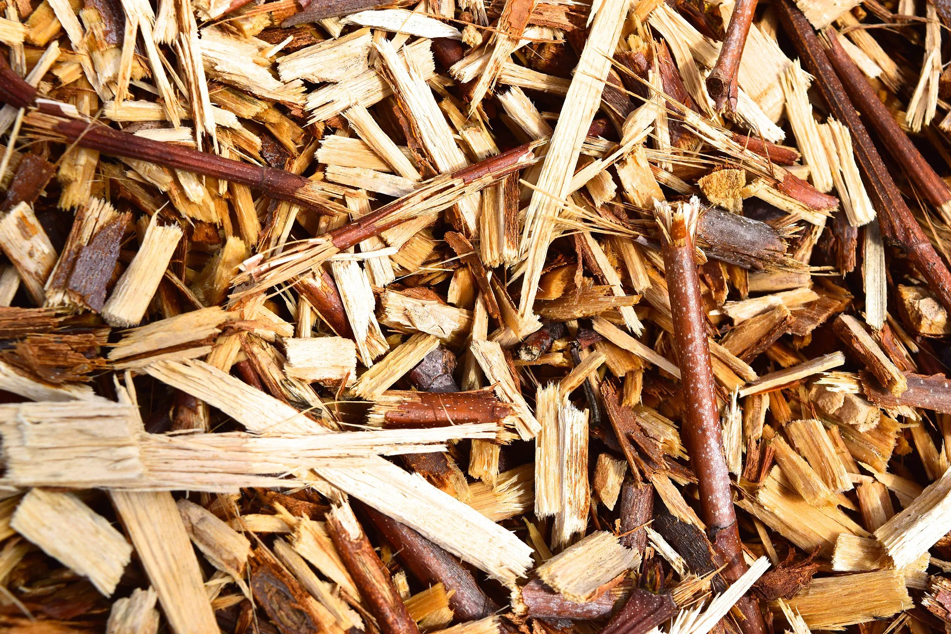 What fuels can I use with a biomass heating system?