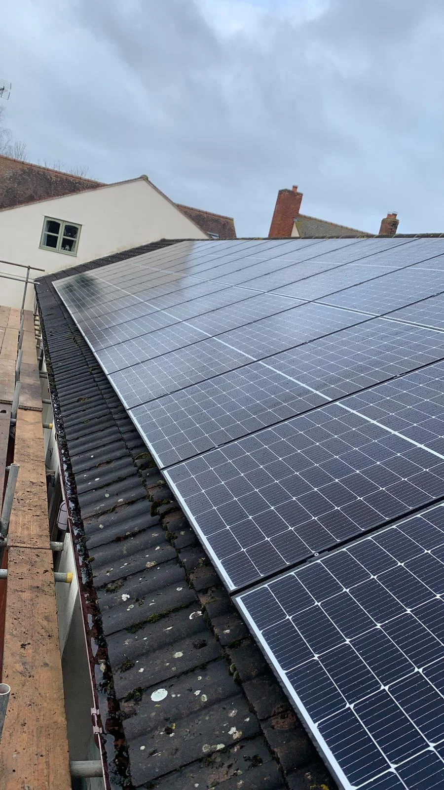 forevergreenenergy (100)