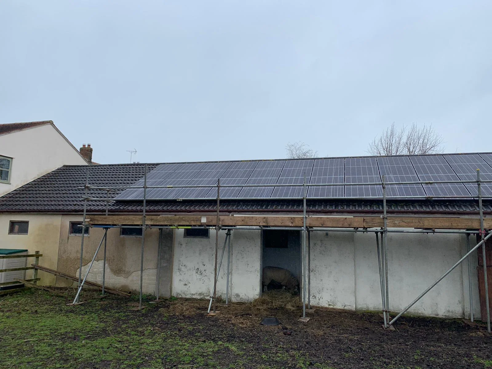 forevergreenenergy (102)