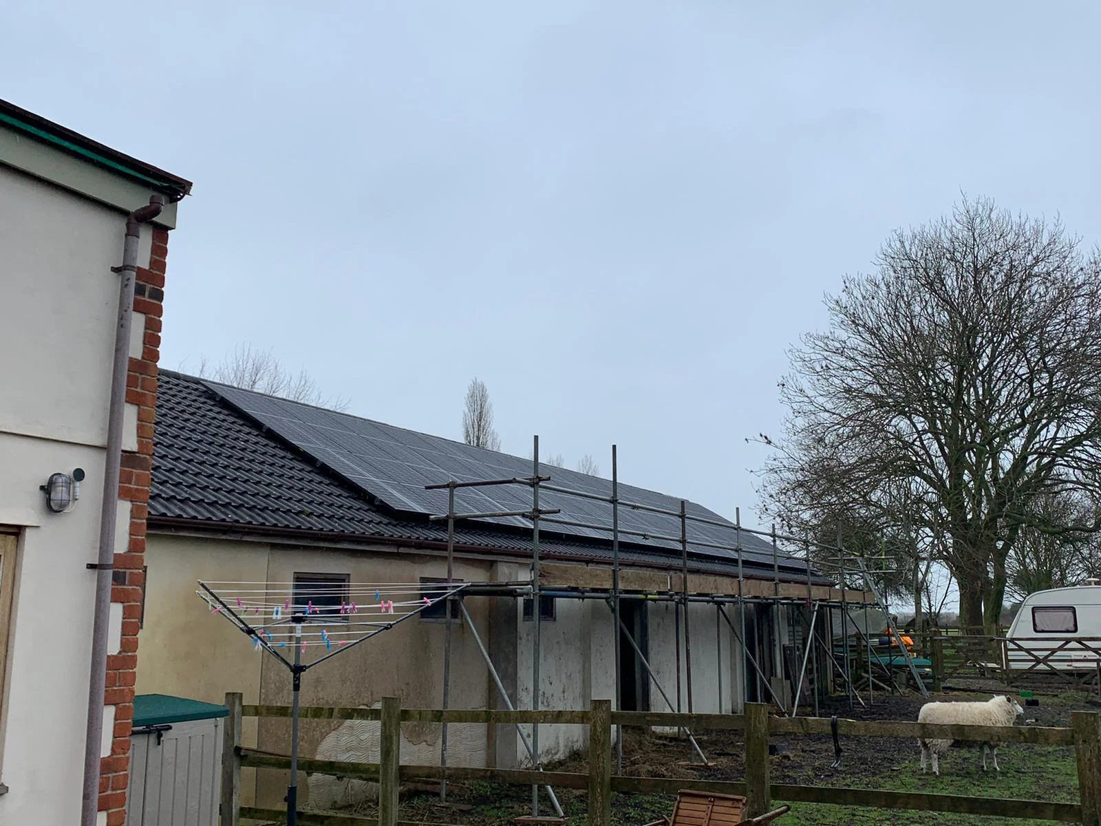 forevergreenenergy (103)