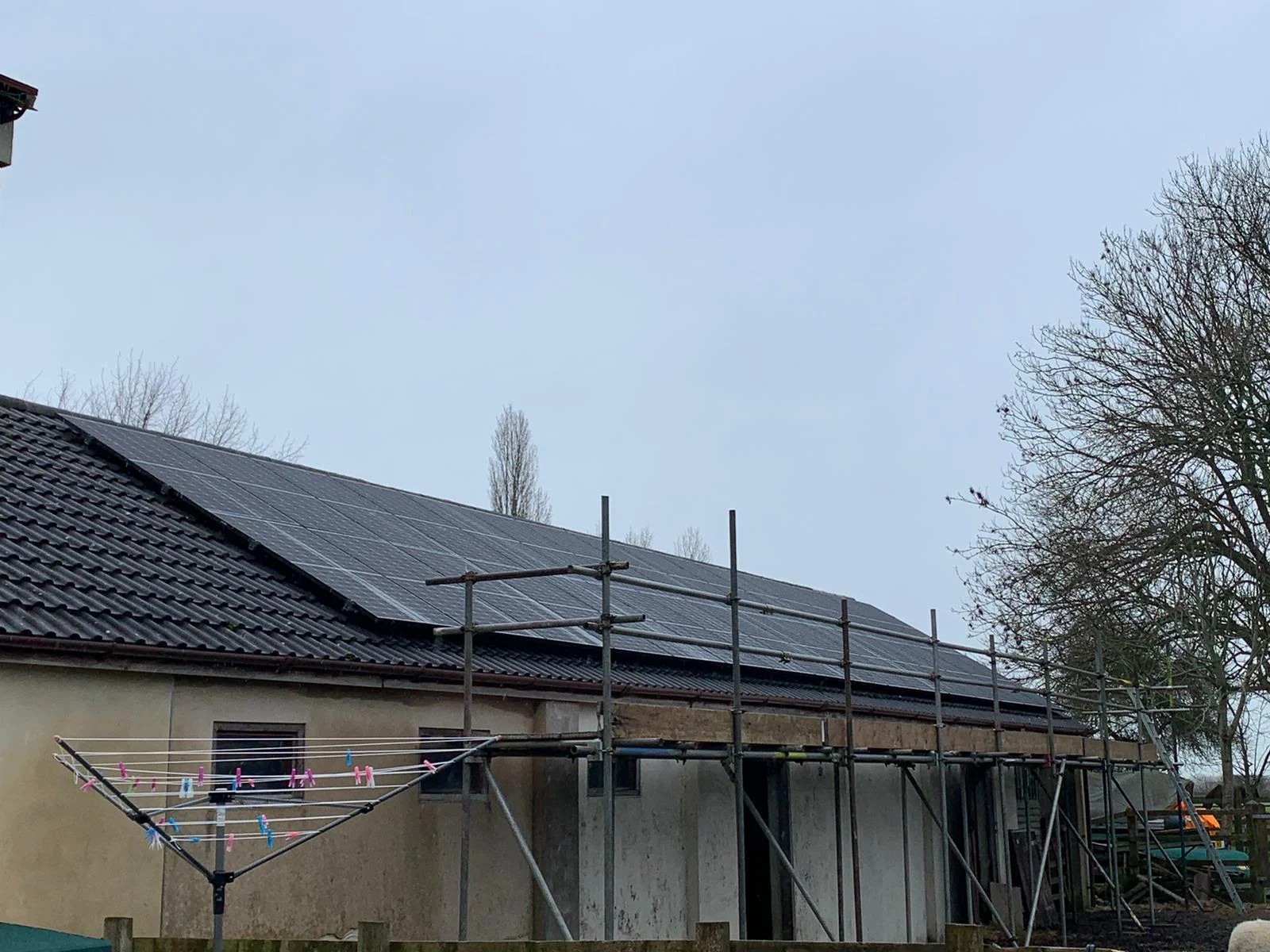 forevergreenenergy (104)