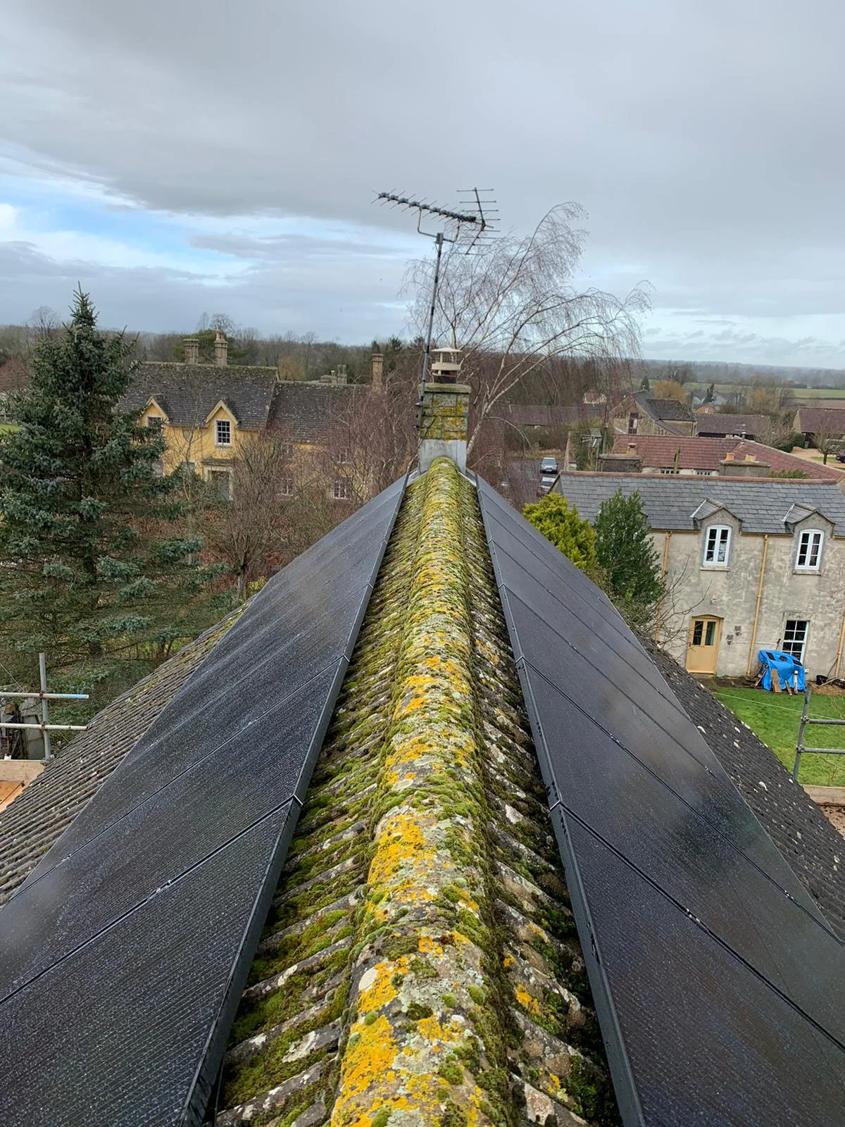 forevergreenenergy (109)