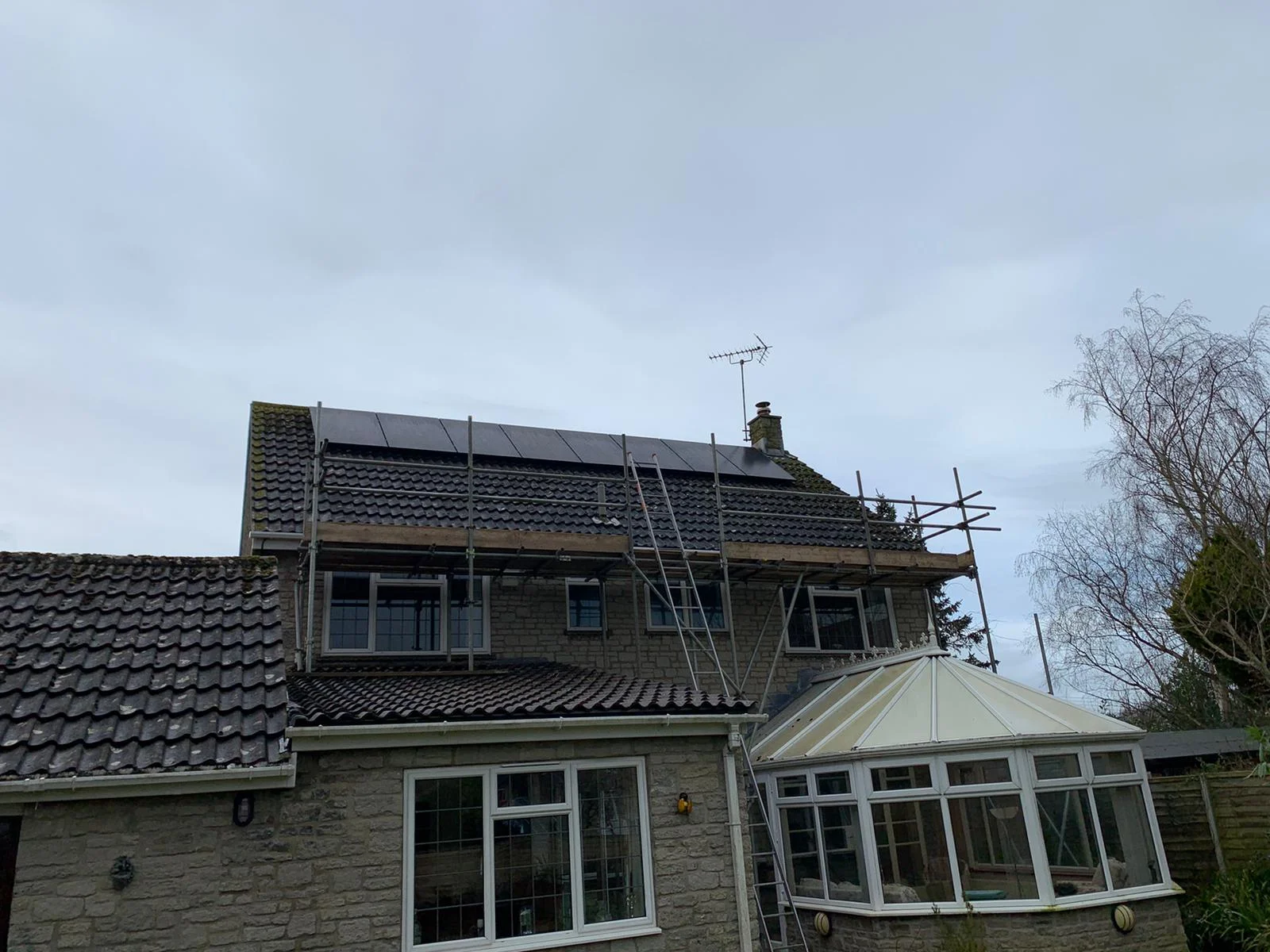 forevergreenenergy (110)