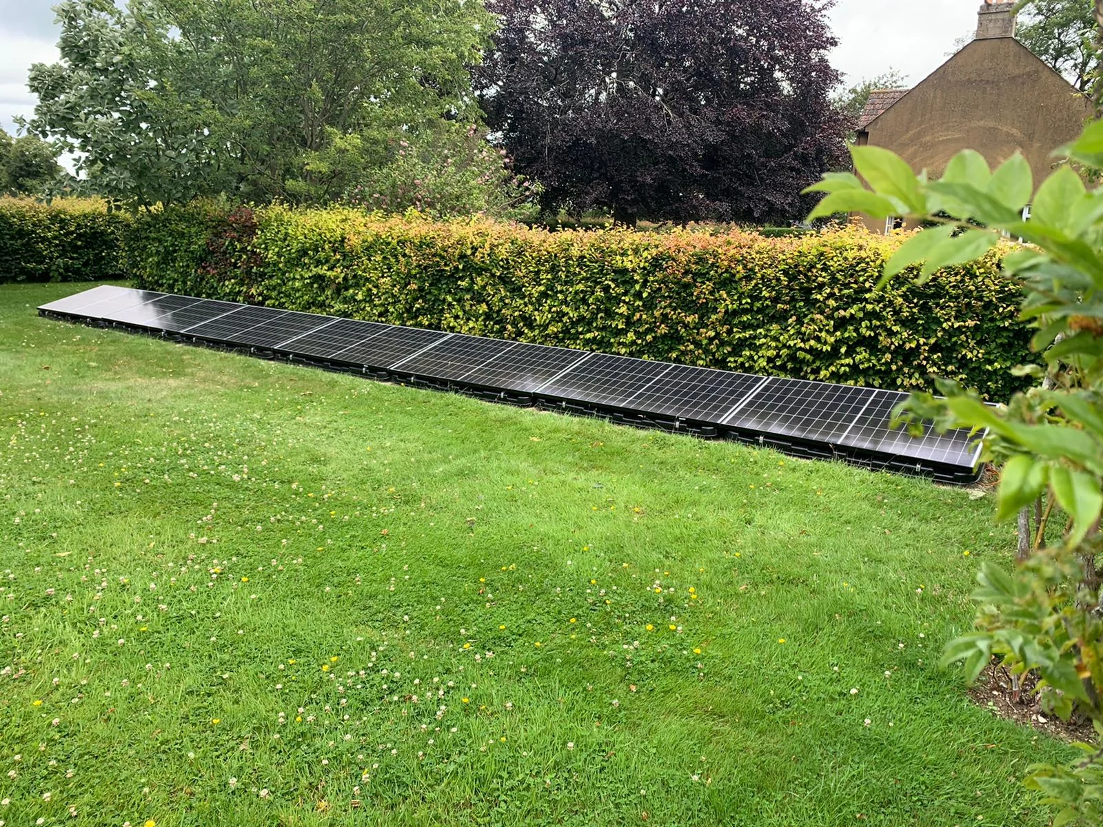 forevergreenenergy (13)