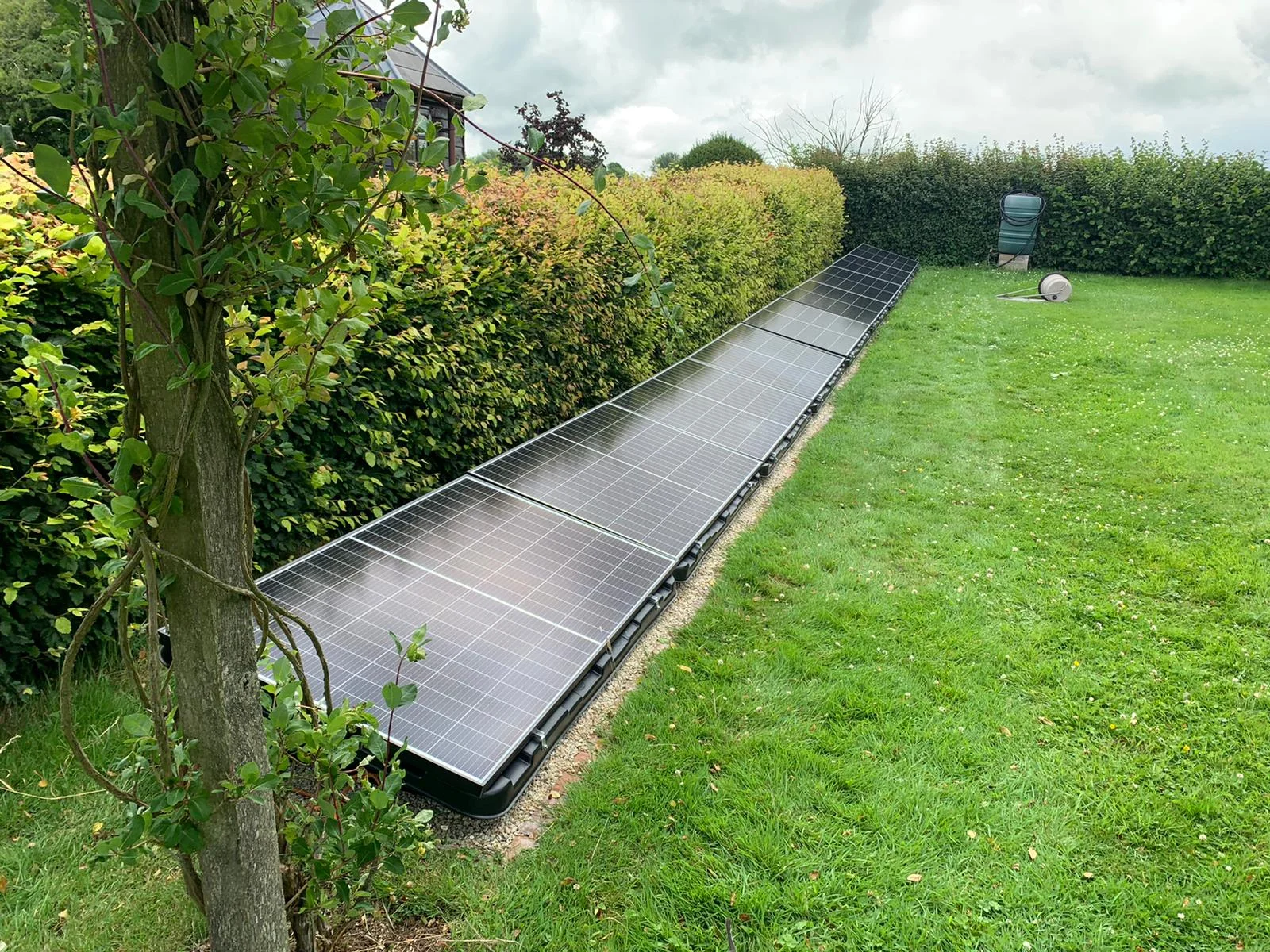 forevergreenenergy (15)