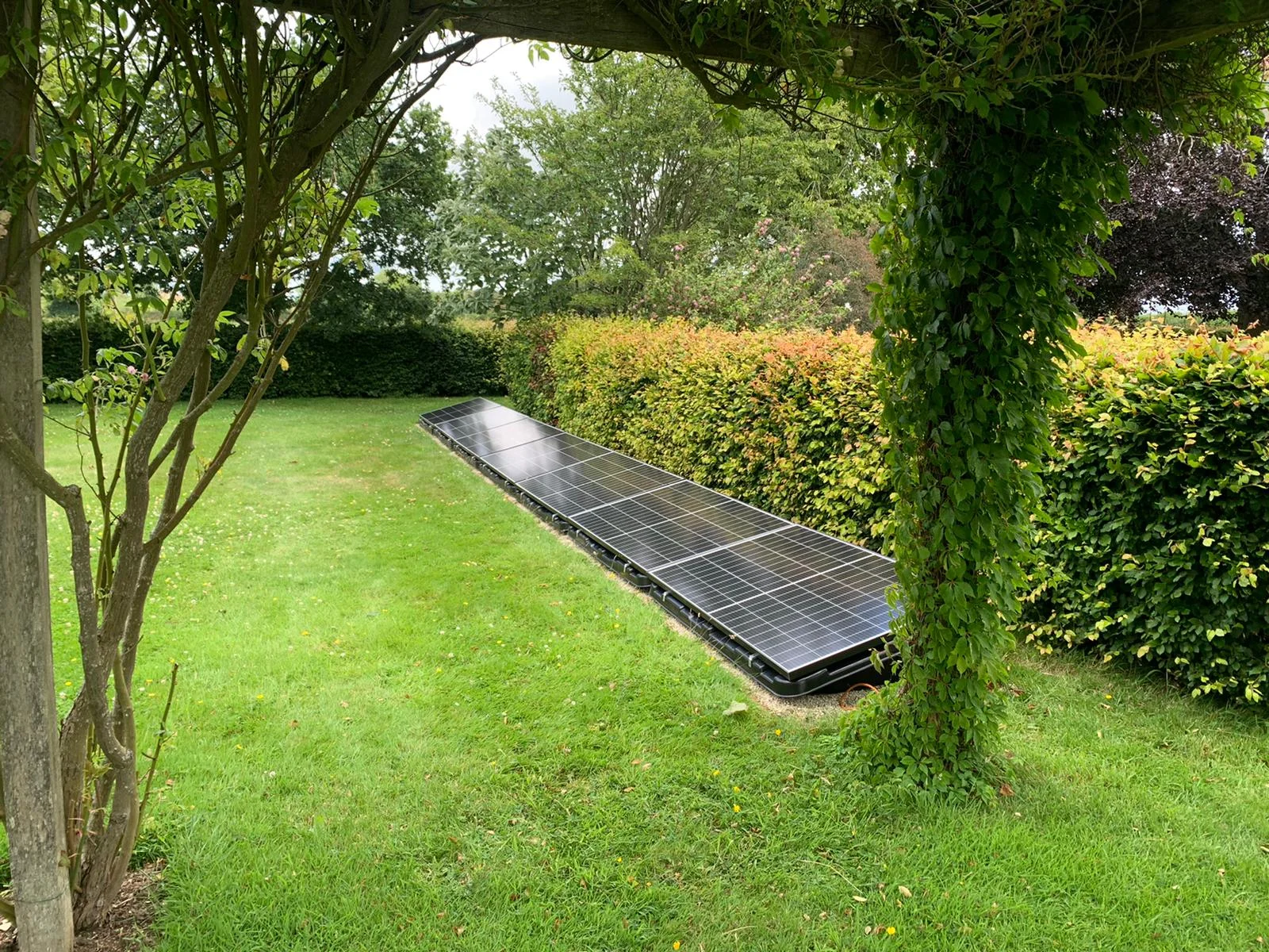 forevergreenenergy (17)