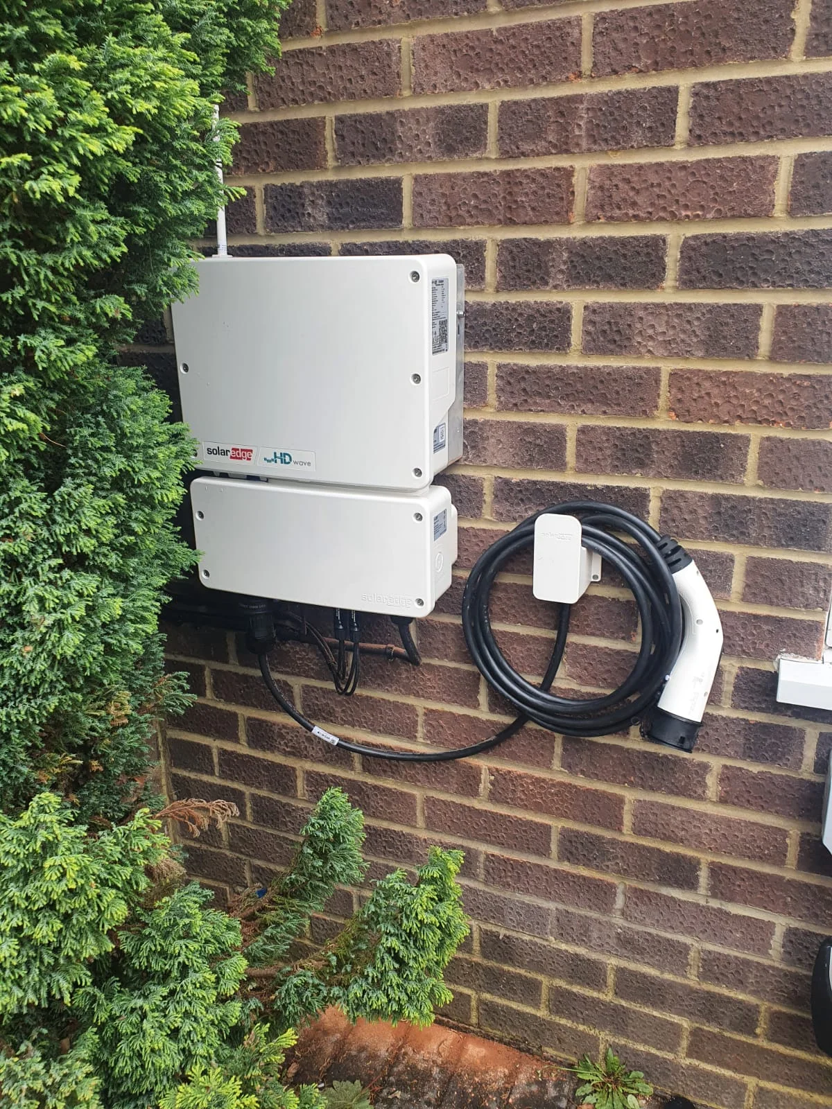 forevergreenenergy (19)