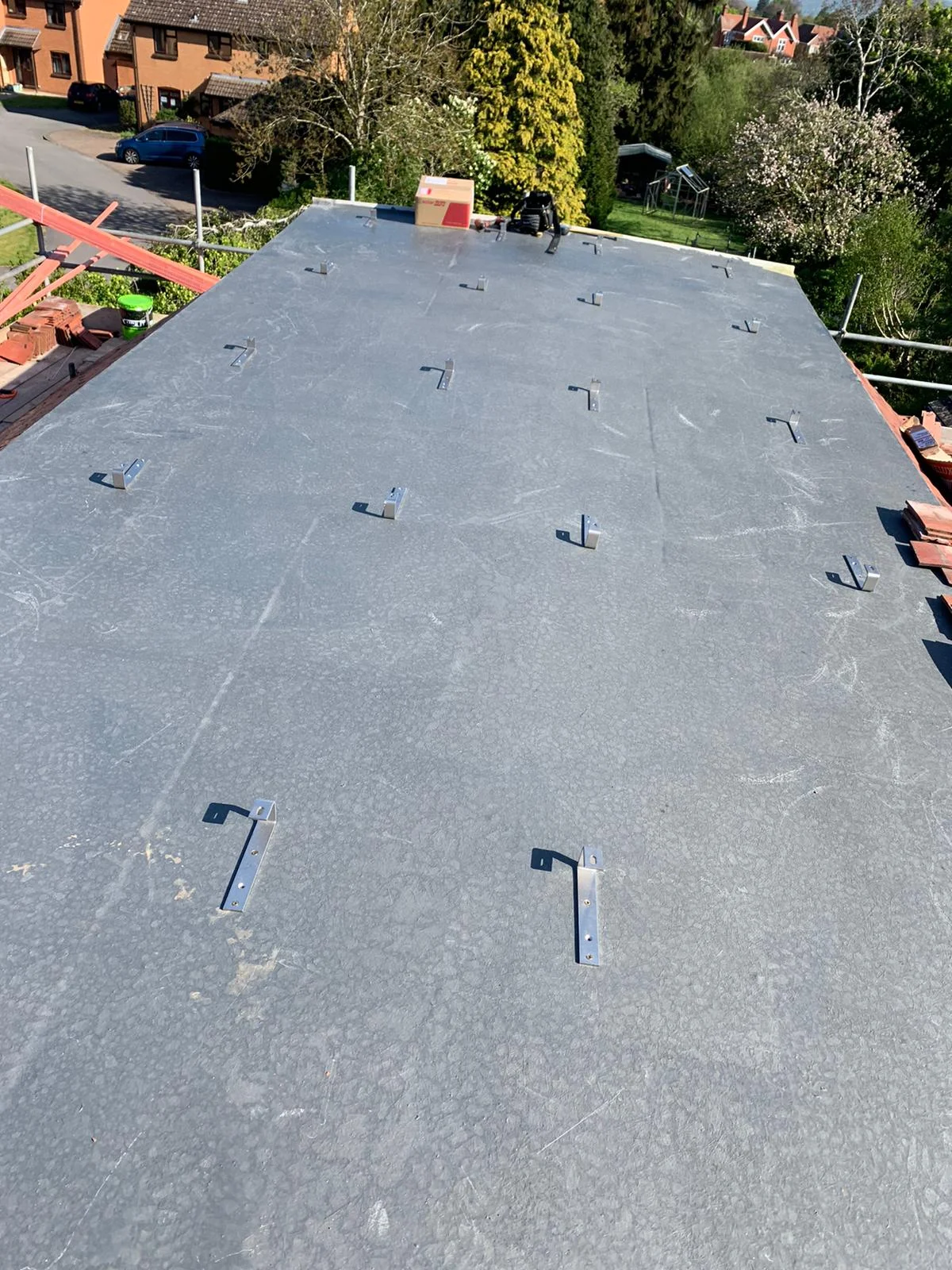 forevergreenenergy (21)