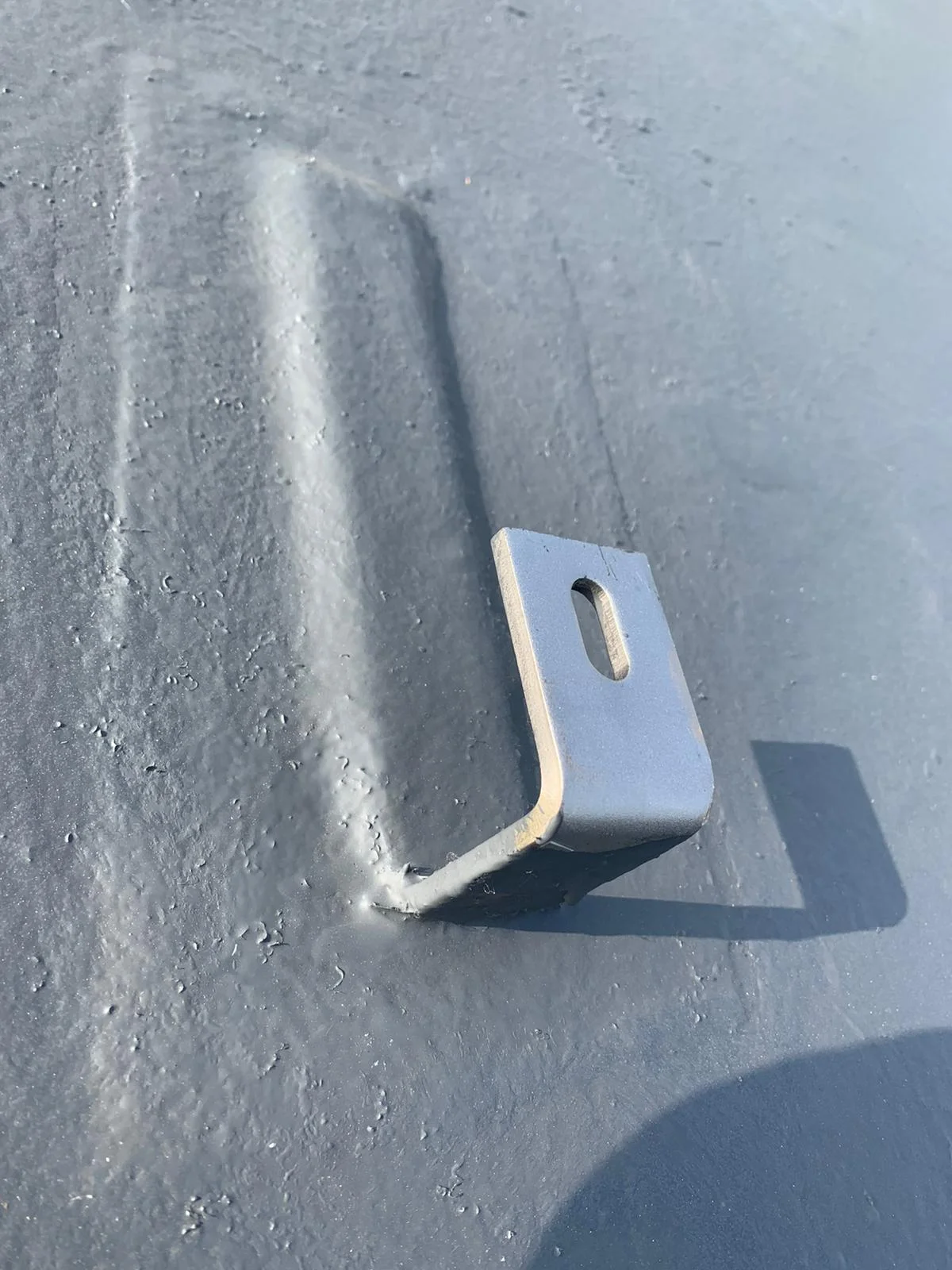 forevergreenenergy (23)