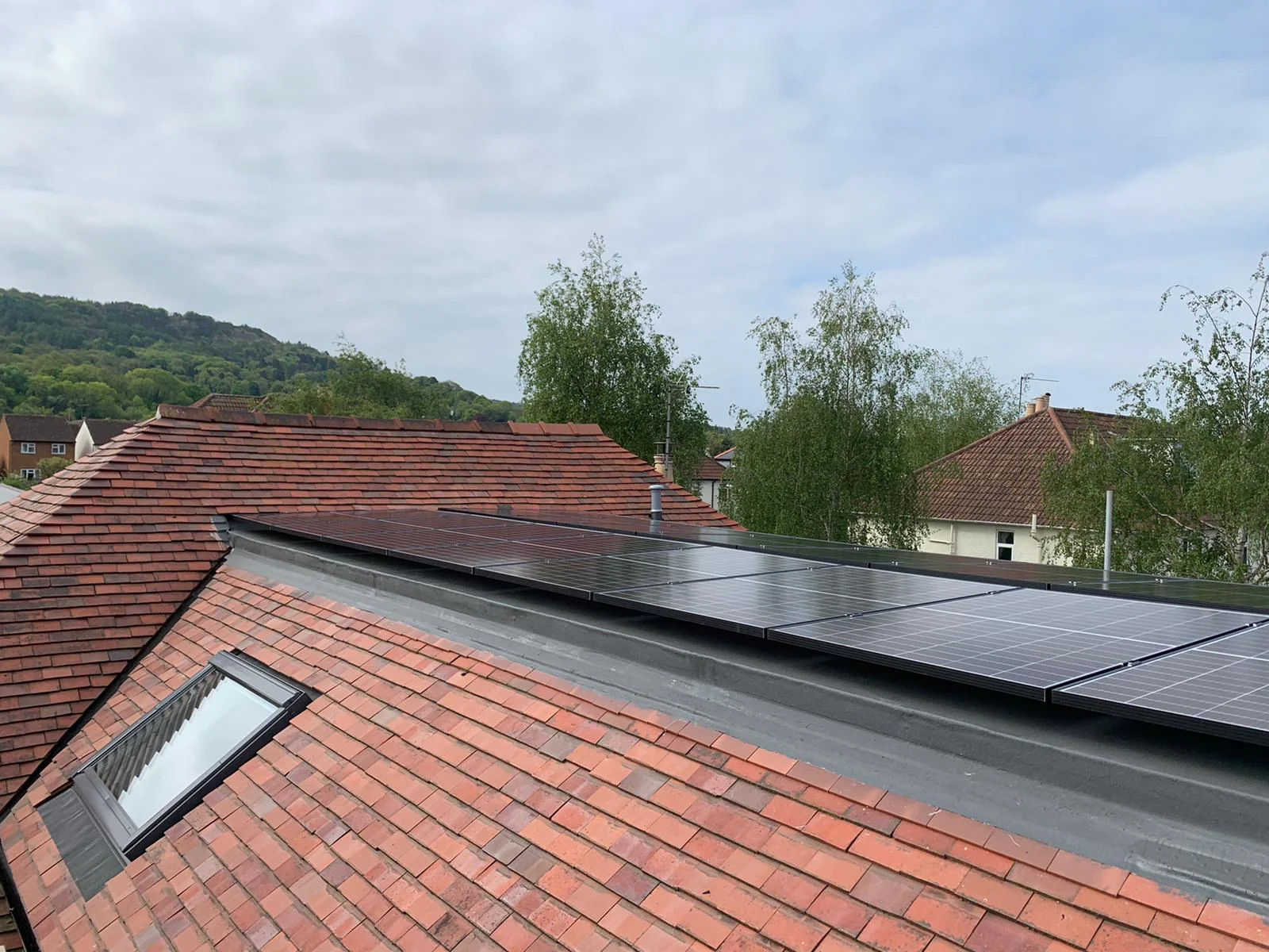 forevergreenenergy (27)