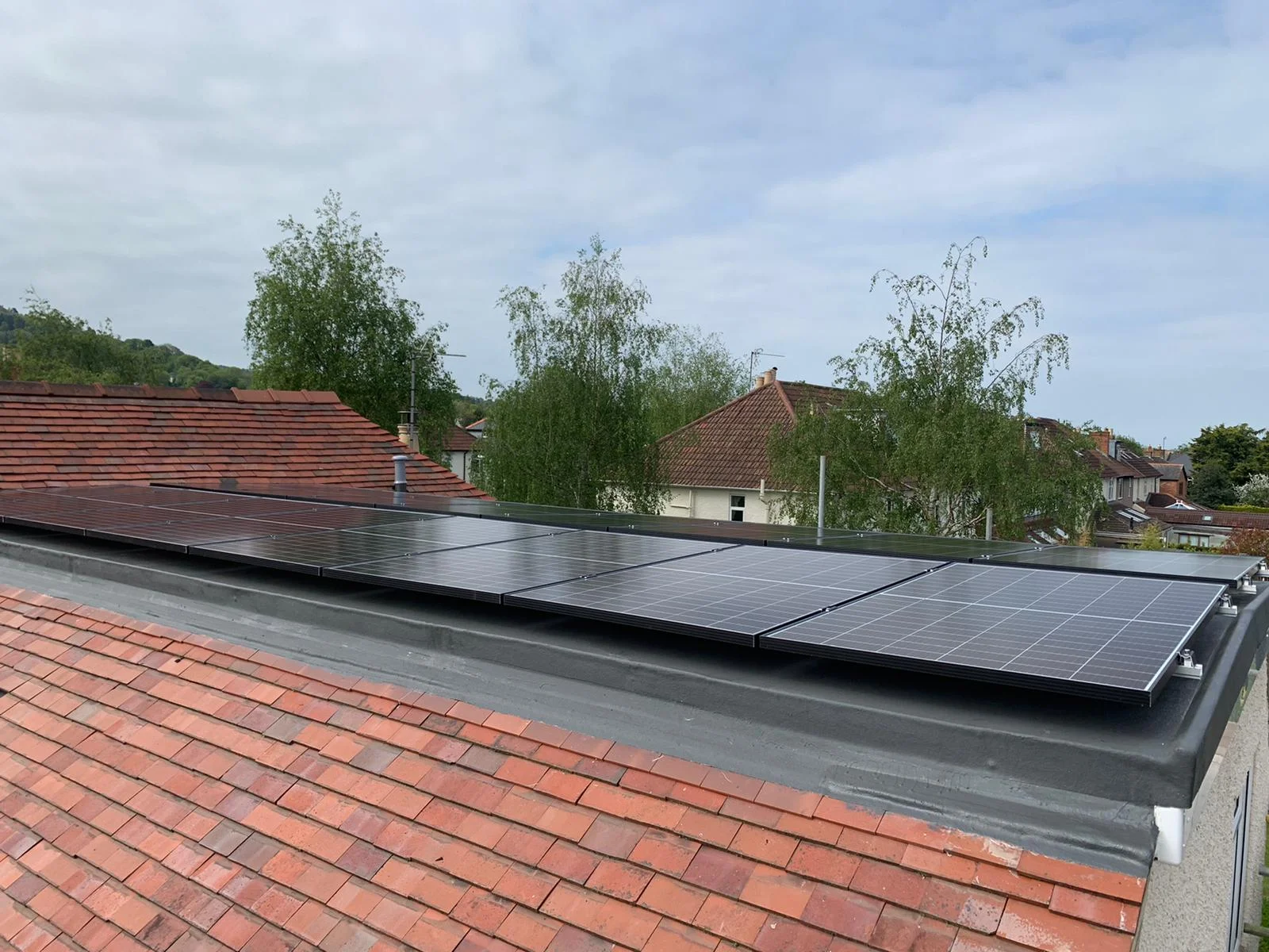 forevergreenenergy (28)