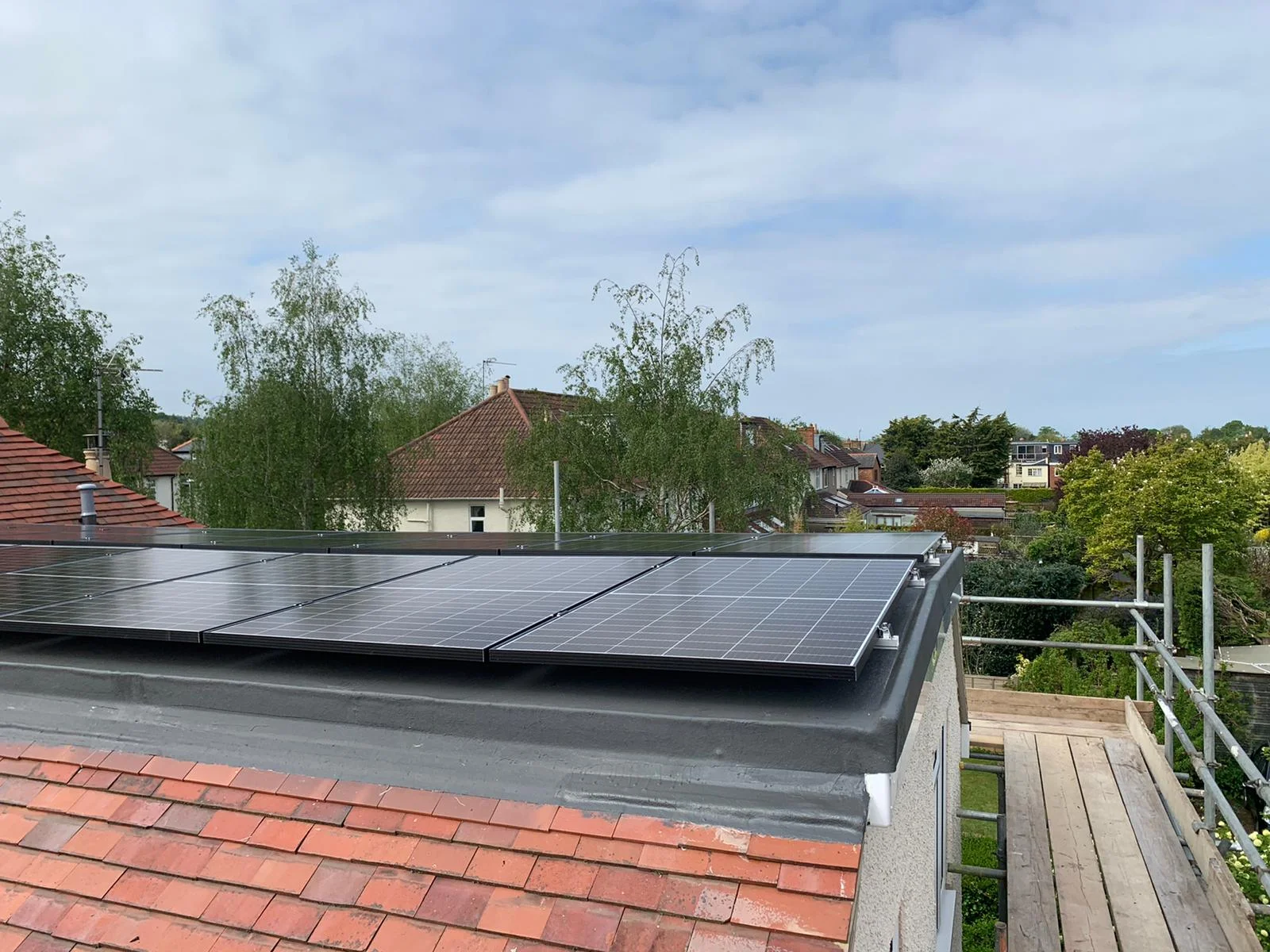 forevergreenenergy (30)