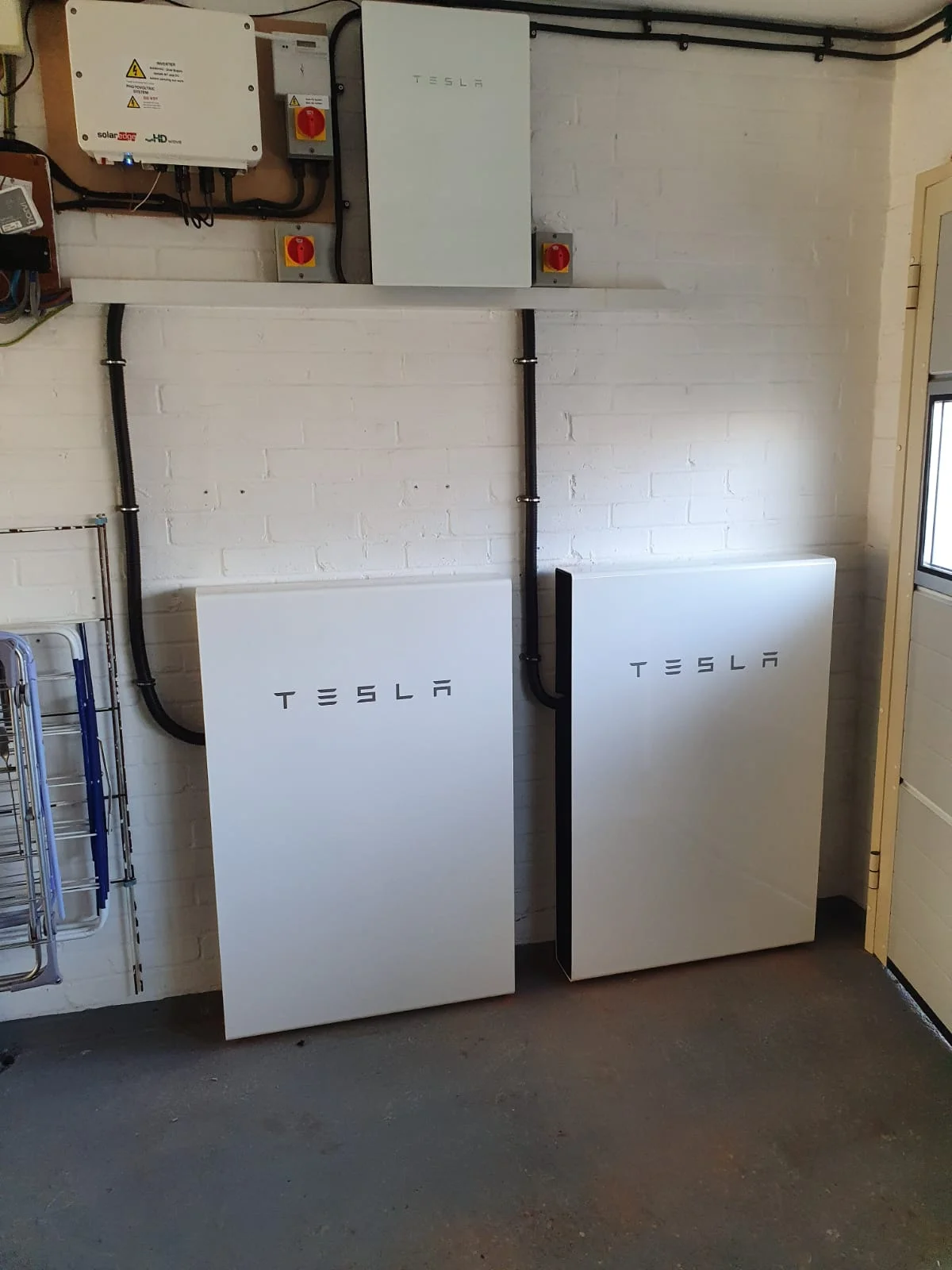 forevergreenenergy (34)