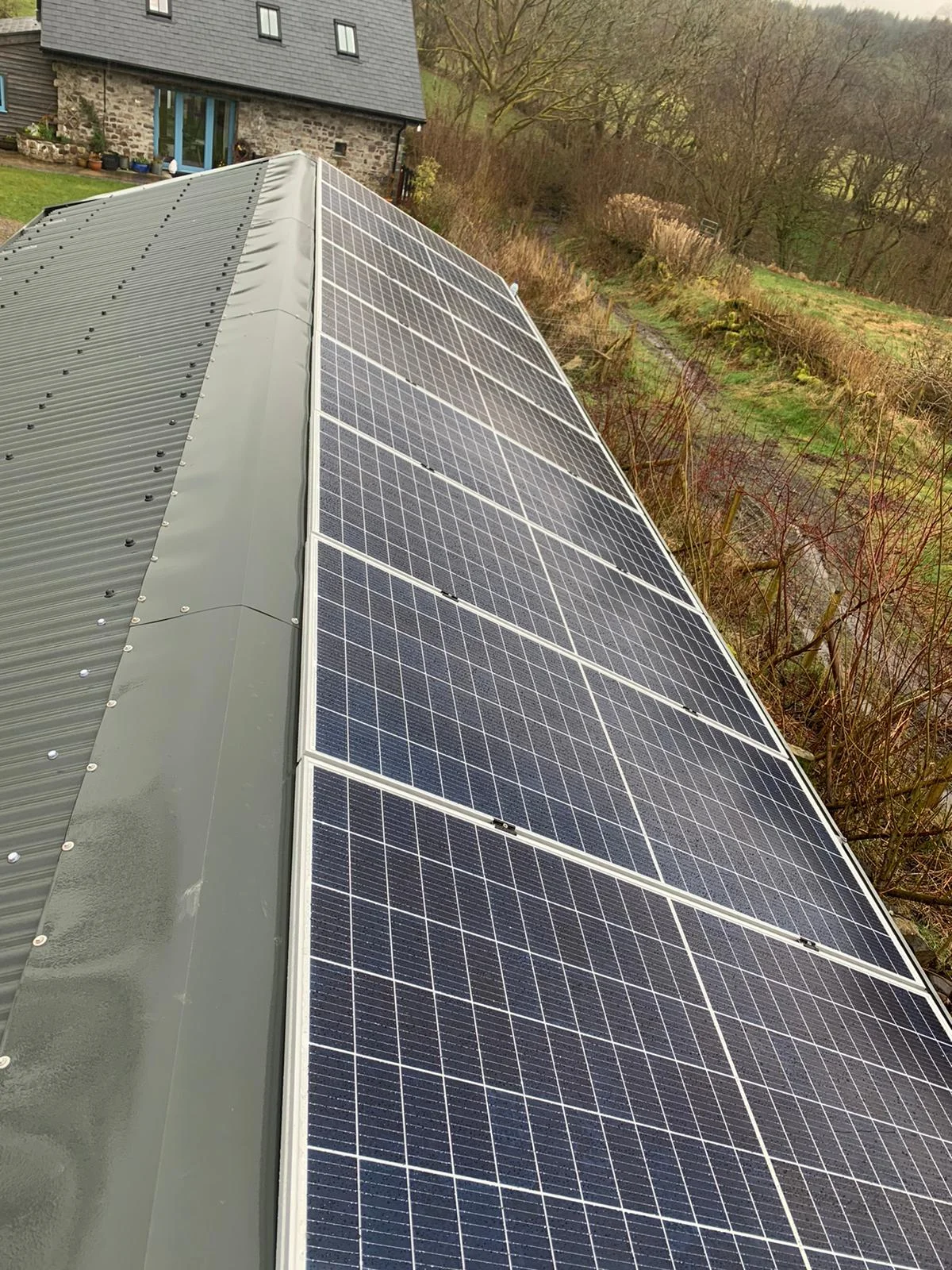 forevergreenenergy (35)