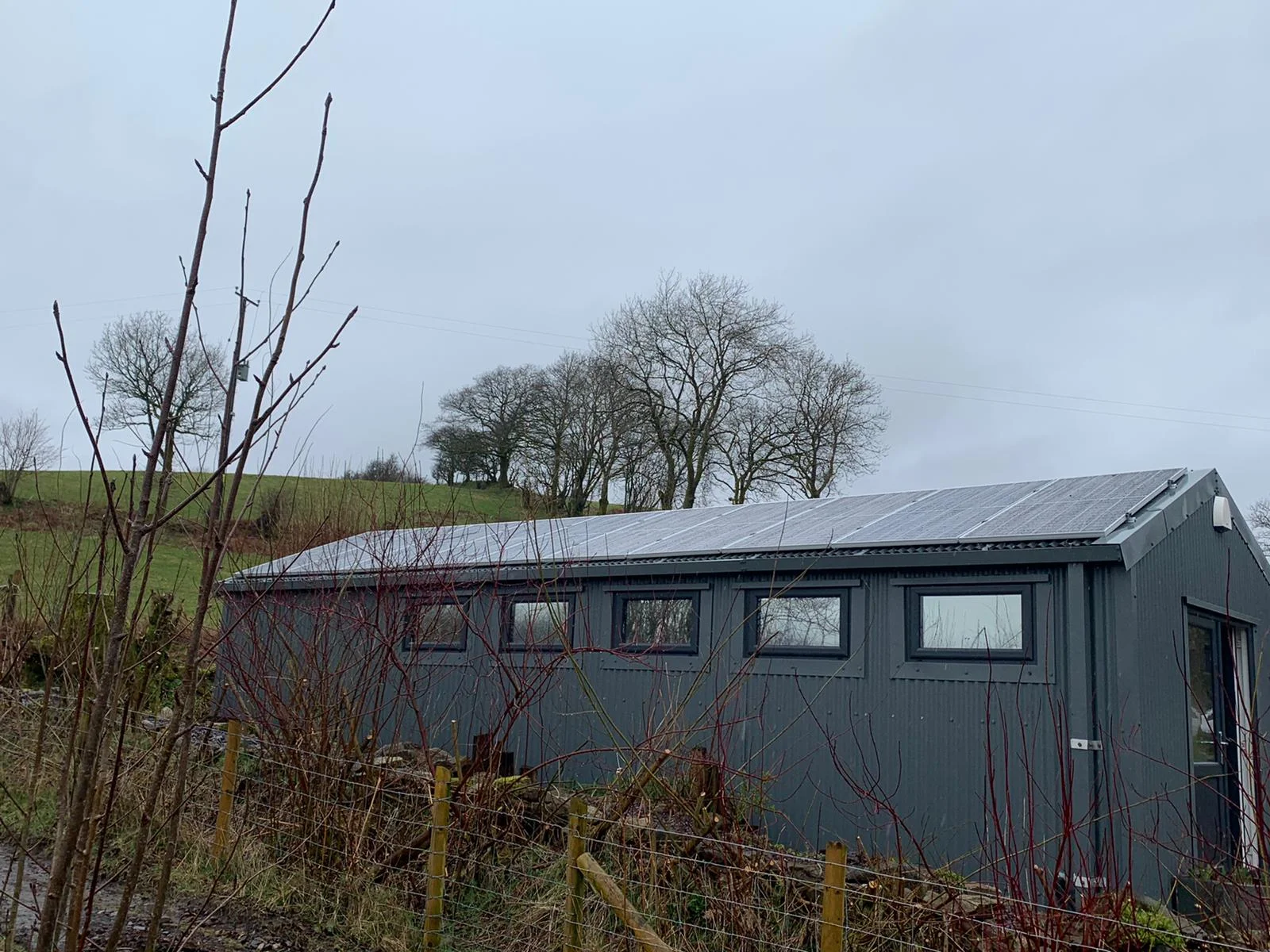 forevergreenenergy (40)