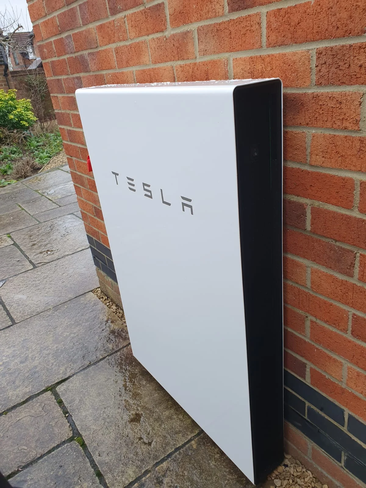 forevergreenenergy (52)