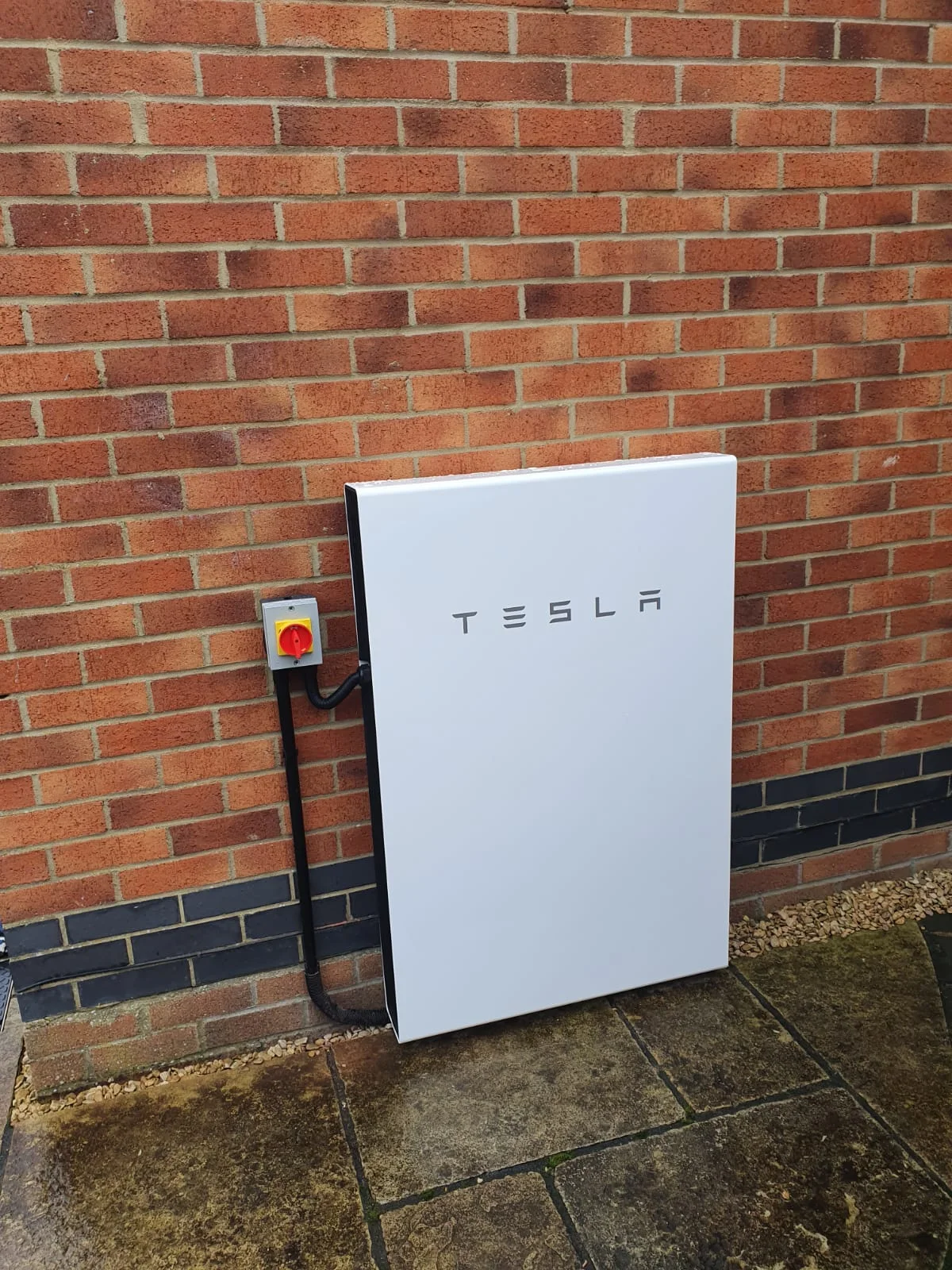 forevergreenenergy (53)