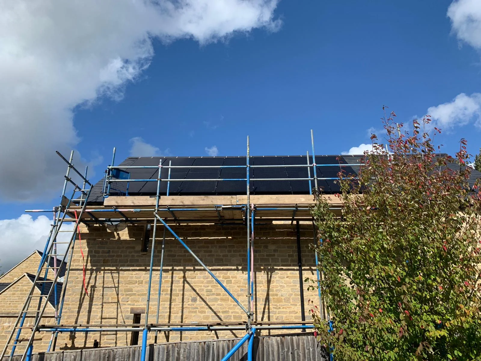 forevergreenenergy (64)