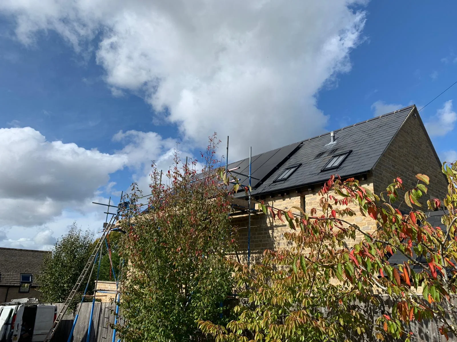 forevergreenenergy (65)