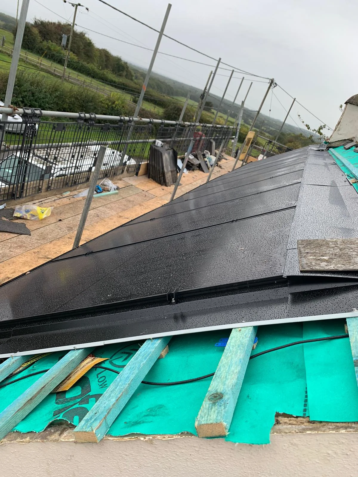 forevergreenenergy (70)