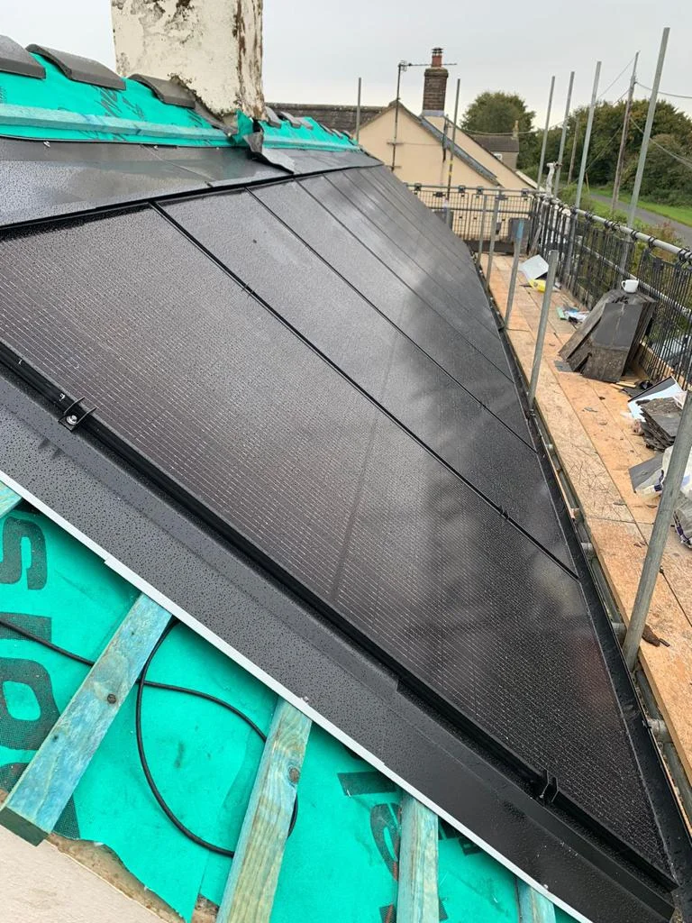 forevergreenenergy (72)