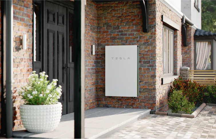 What to expect from Forever Green Energy