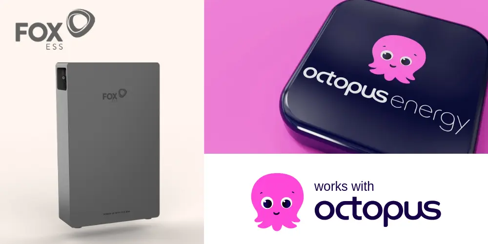 Octopus Octopus
